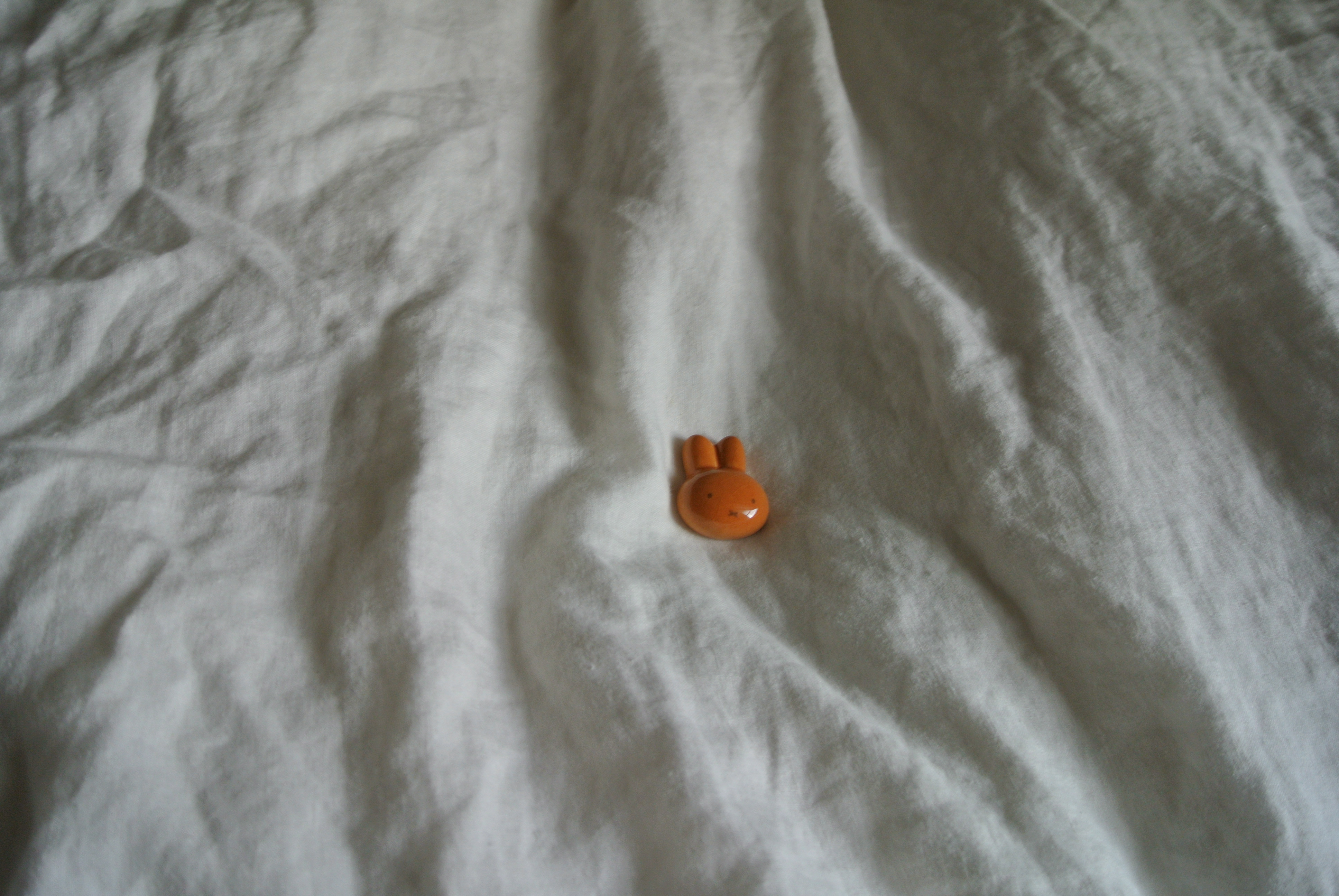 photo2