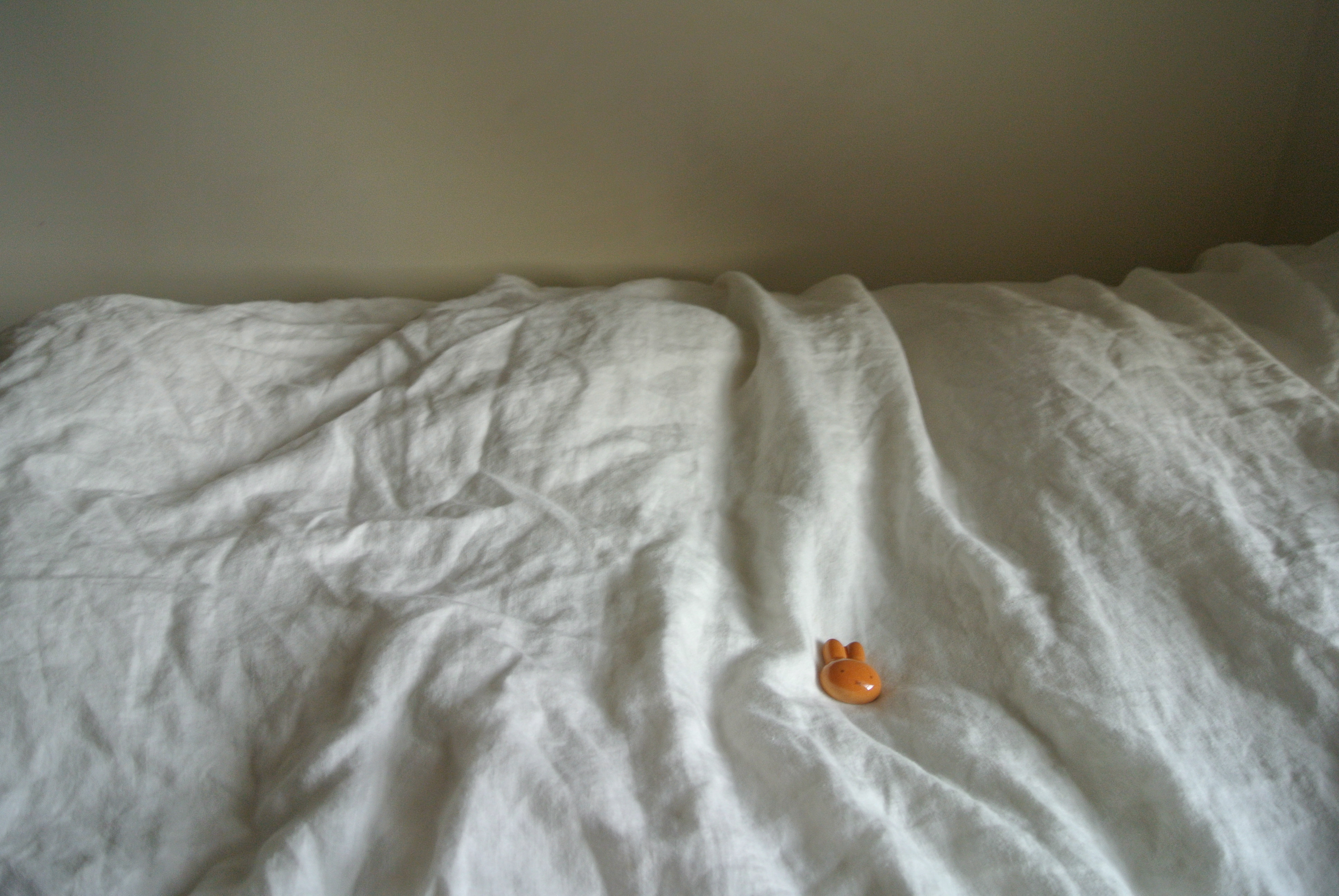 photo3
