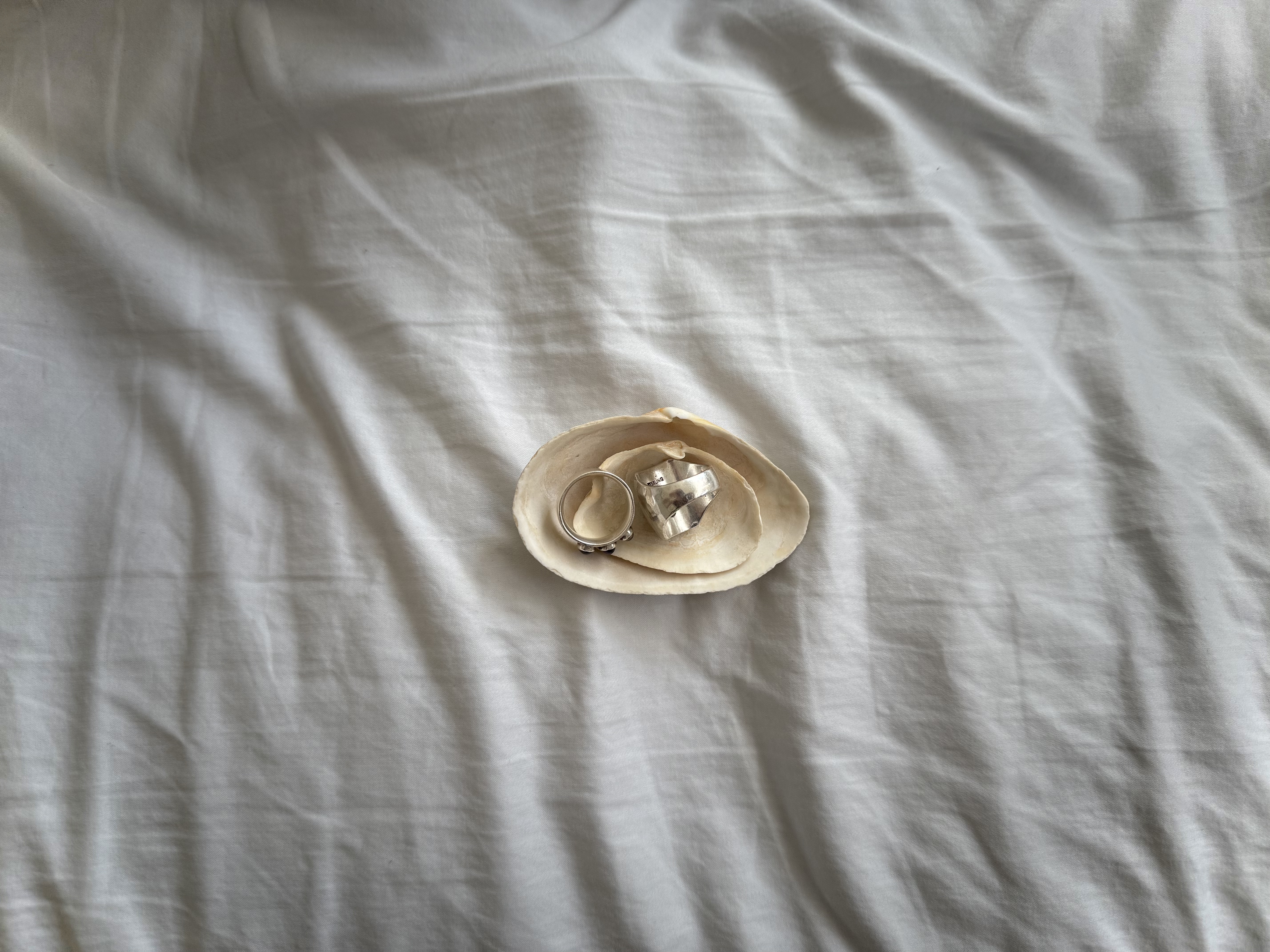 photo1